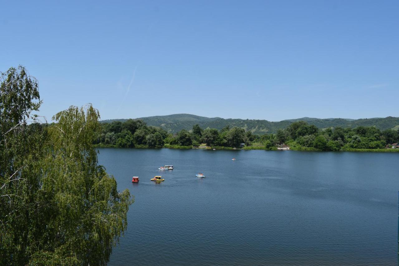 Spa Koncept-Apartmani Veliko Gradište Zewnętrze zdjęcie